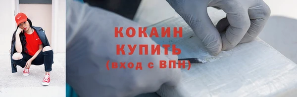 ПСИЛОЦИБИНОВЫЕ ГРИБЫ Абаза