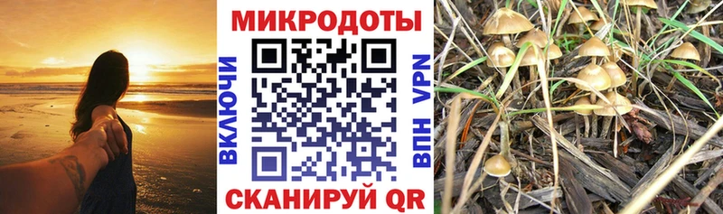 Псилоцибиновые грибы прущие грибы  Мыски 