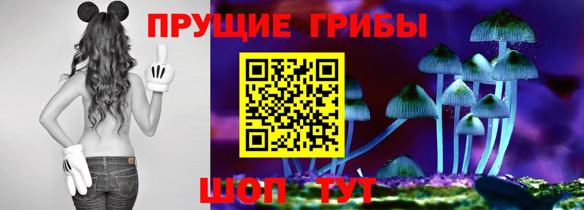 Псилоцибиновые грибы Magic Shrooms  Вход с VPN  Мыски  Галлюциногенные грибы Magic Shrooms 